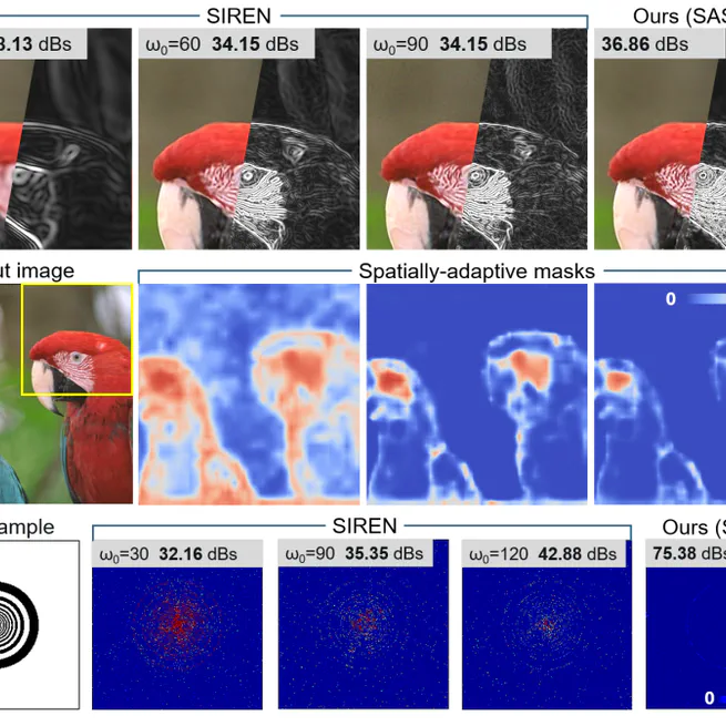 SASNet: Spatial-Adaptive Sinusoidal Neural Network for Clear Neural Images