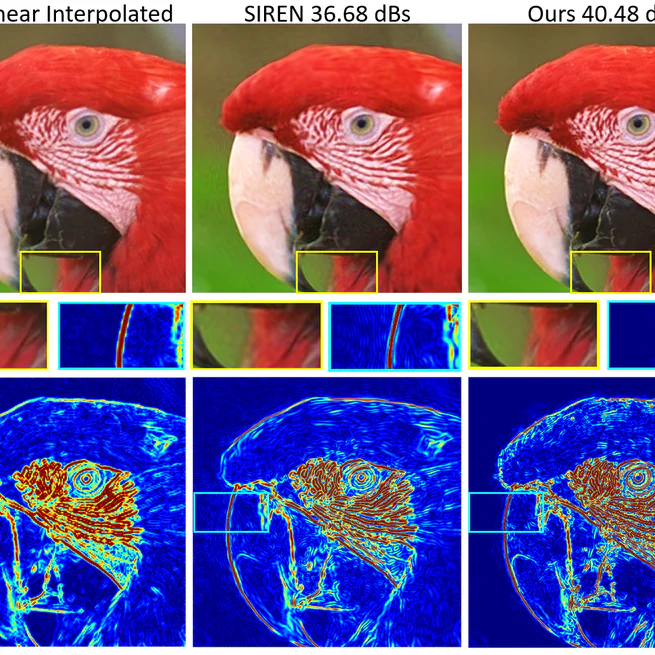 SASNet: Spatial-Adaptive Sinusoidal Neural Network for Clear Neural Images